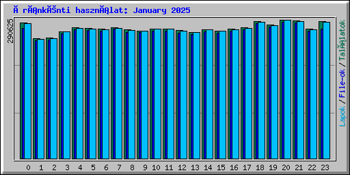 Óránkénti használat: January 2025