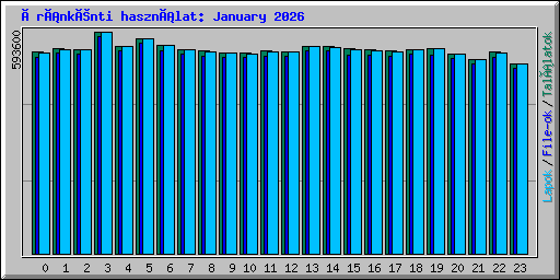 Óránkénti használat: January 2026